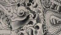 Komodo Graphite