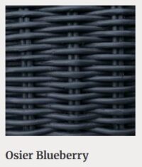 SPIN Osier Blueberry