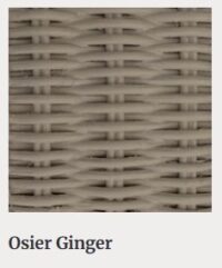 SPIN Osier Ginger