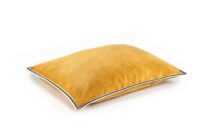aristote-Bouton d'or