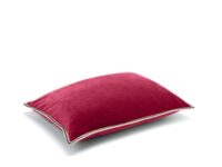 aristote-Pomegranate