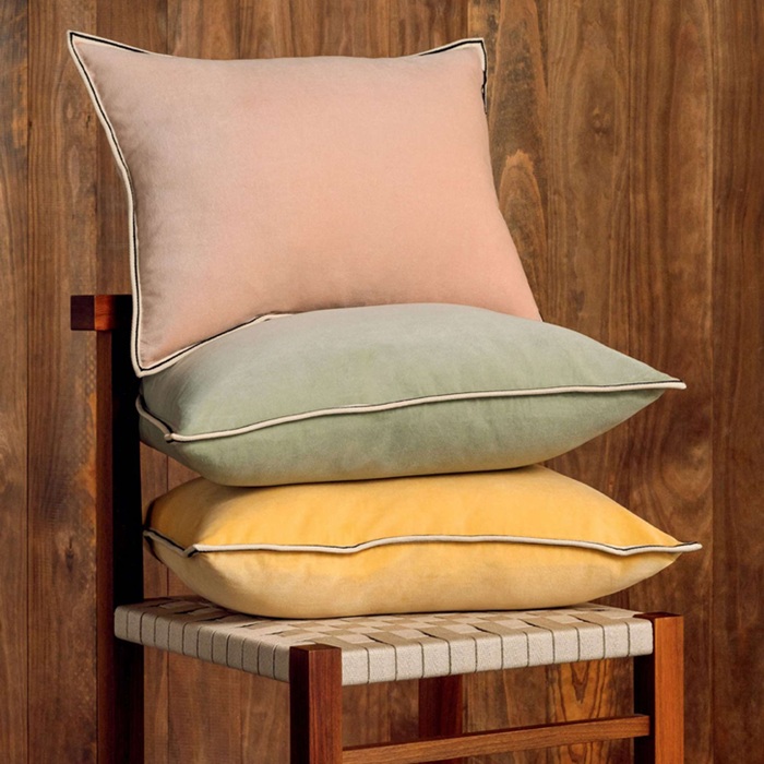 COUSSIN Aristote Elitis