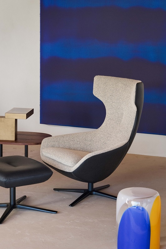 Fauteuil Caruzzo Leolux – Image 8