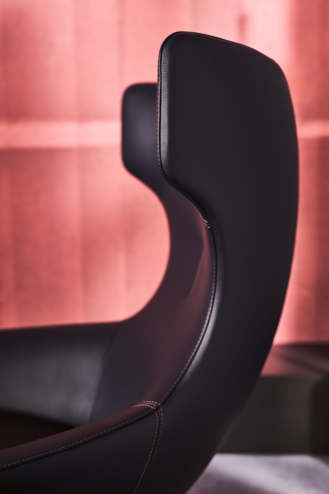 Fauteuil Caruzzo Leolux – Image 3