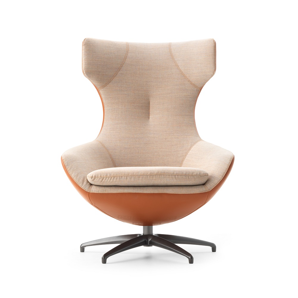 Fauteuil Caruzzo Leolux – Image 5