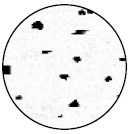 melange-dalmatien